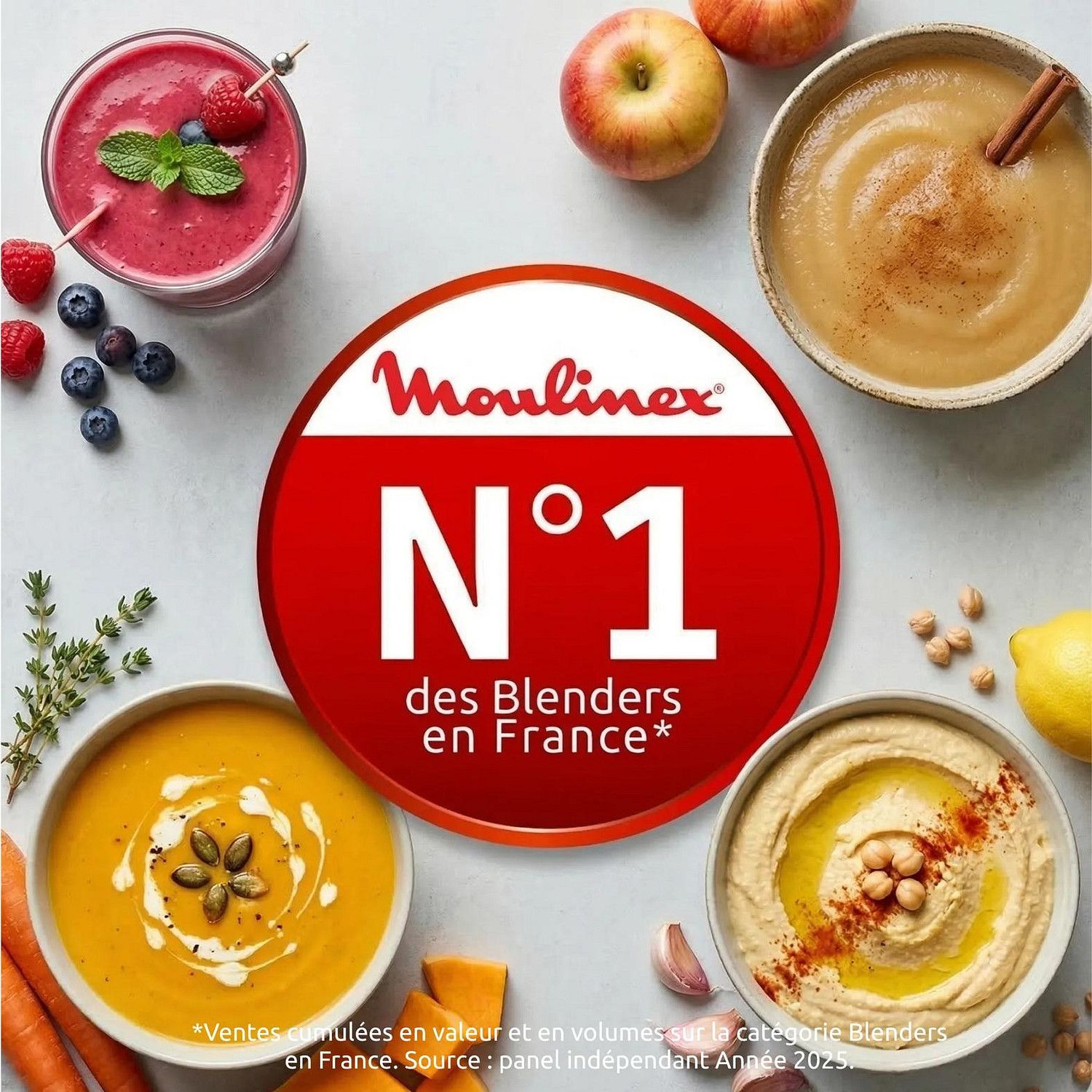 Blender Soleil 6 Lames, 2 Vitesses Ivoire LM355A10 MOULINEX