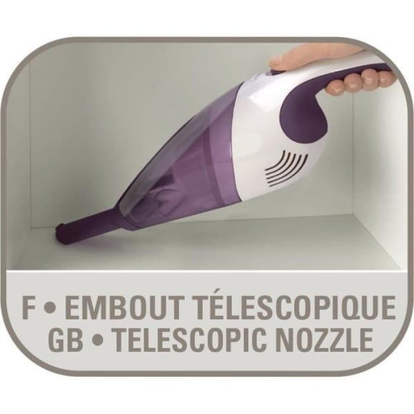 Aspi Rechargeable À Main Rowenta Ac232001