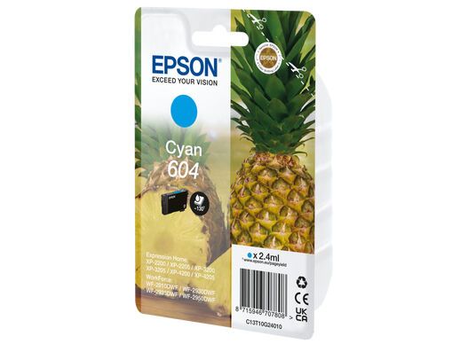 Consommable Epson C13t10g24010