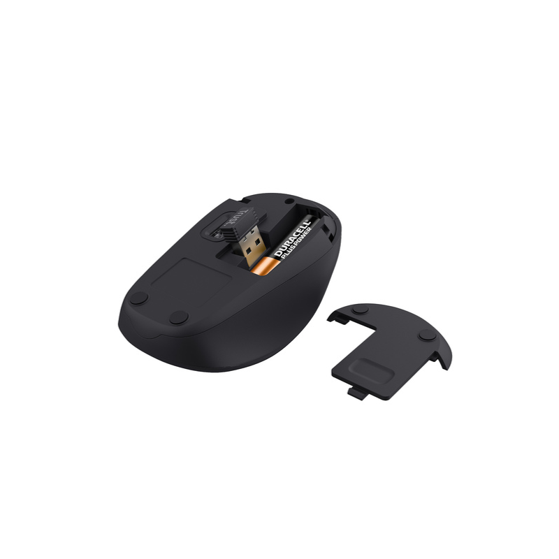 Souris Trust 24550