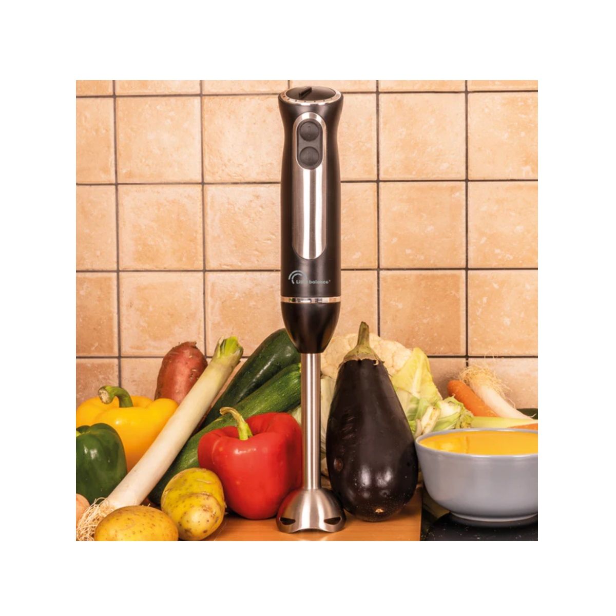 Mixeur Plongeant Speed Inox 600 - 600 W - Noir Et Inox