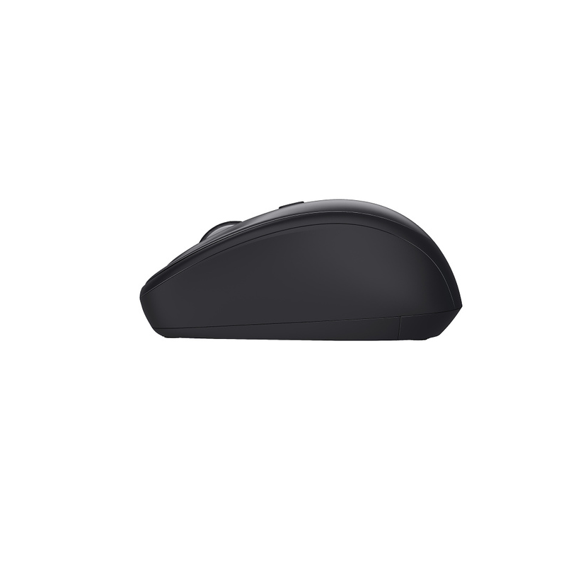 Souris Trust 24549