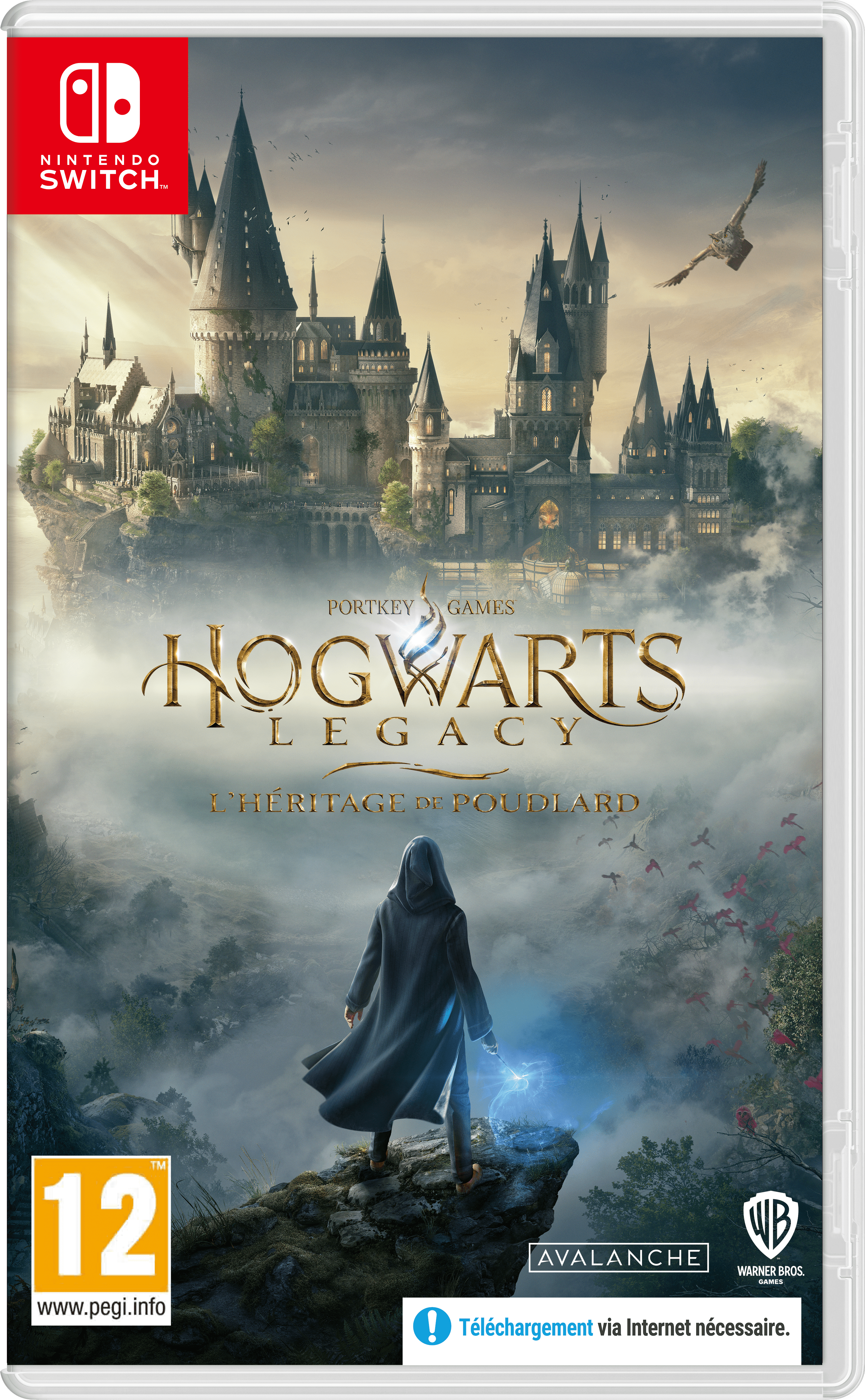 Hogwarts Legacy : L'Héritage de Poudlard  Nintendo Switch NINTENDO