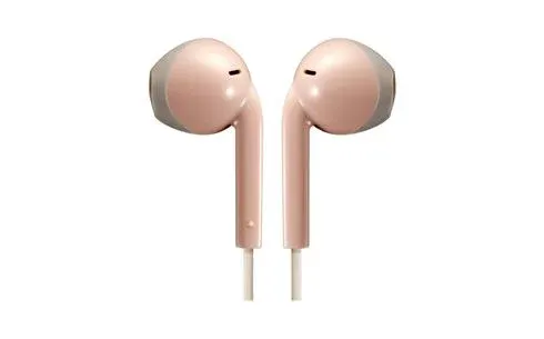 Jvc Ha-f19m-pt Oreillettes De Type Rétro