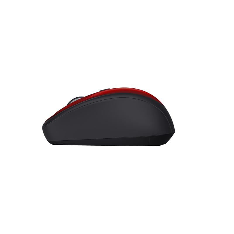 Souris Trust 24550